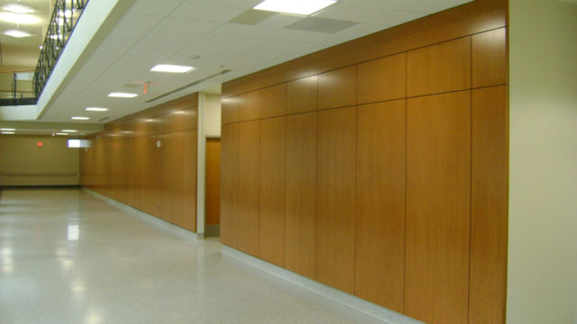 Walter Reed Photo 02